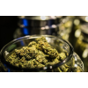 What is CBD Oil?